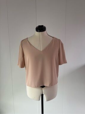 Babaton V-Neck Short Sleeve Blouse (Blush)